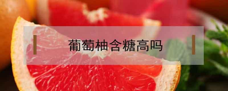 葡萄柚含糖高吗