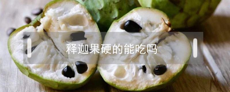 释迦果硬的能吃吗（硬的释迦果可以吃吗）