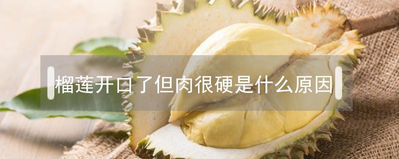 榴蓮開(kāi)口了但肉很硬是什么原因 榴蓮開(kāi)口了但肉很硬是什么原因啊