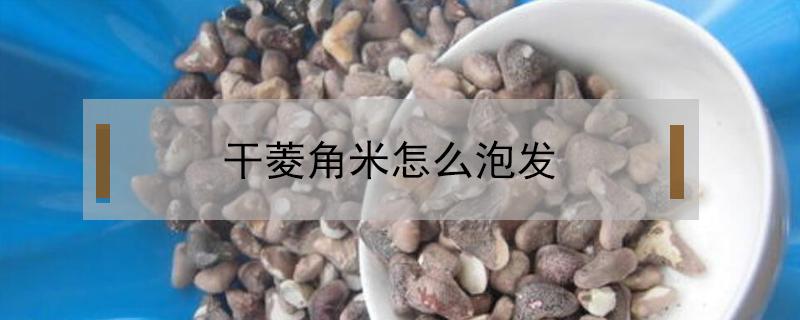 干菱角米怎么泡发（干菱角米怎么泡发需要去皮吗）