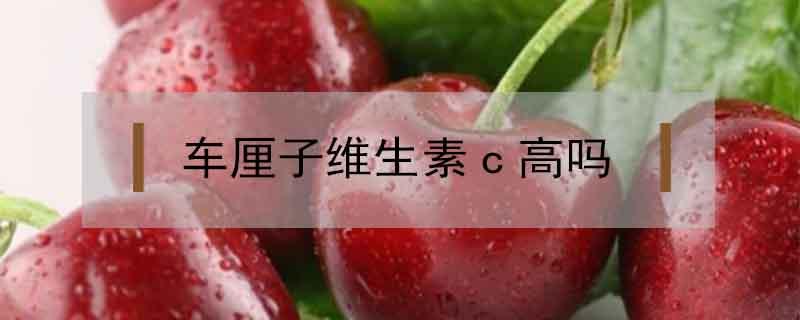 车厘子维生素c高吗（车厘子补充维生素c吗）