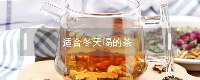 适合冬天喝的茶