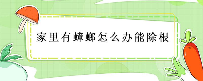 家里有蟑螂怎么辦能除根 懷孕了家里有蟑螂怎么辦能除根