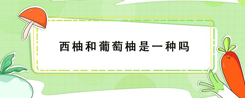 西柚和葡萄柚是一种吗 西柚和葡萄柚是一样的吗