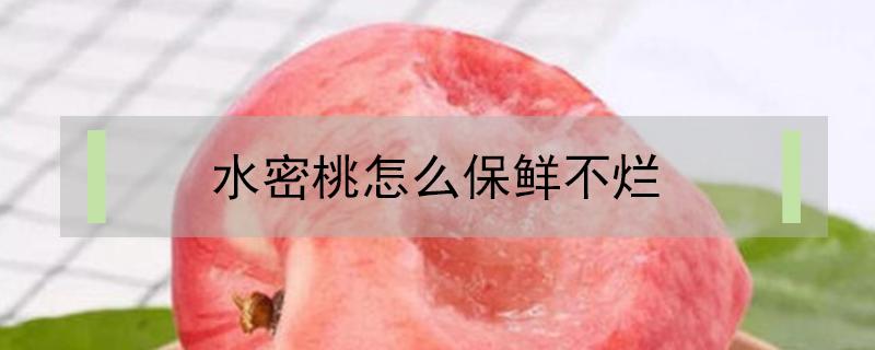 水密桃怎么保鲜不烂 水蜜桃怎么样保鲜