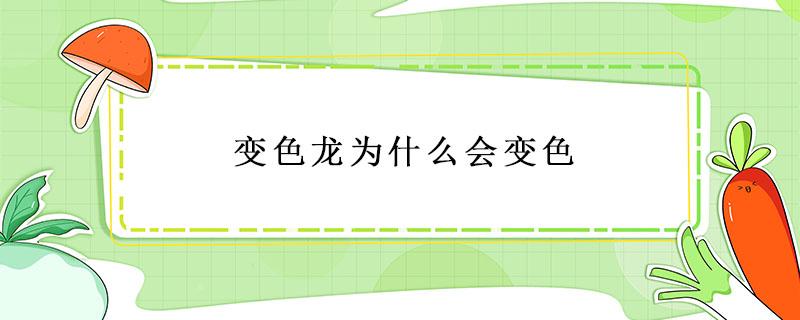 变色龙为什么会变色 变色龙为什么会变色?简短说