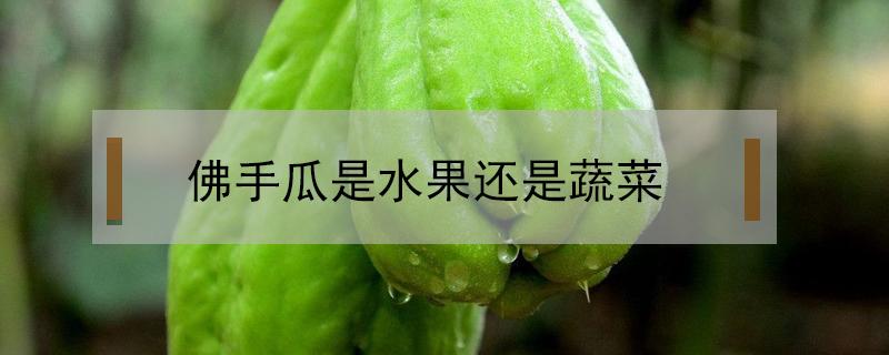 佛手瓜是水果還是蔬菜 佛手瓜類似的蔬菜