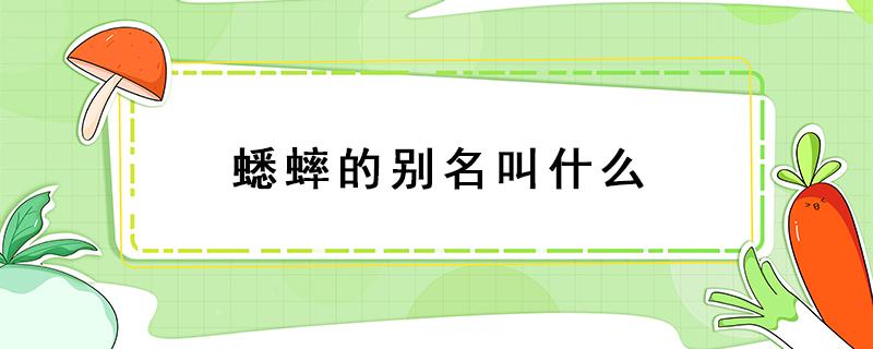 蟋蟀的別名叫什么 蟋蟀的別名叫什么名字