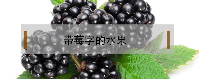 帶莓字的水果