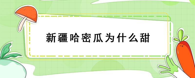 新疆哈密瓜为什么甜（新疆哈密瓜为什么很甜）