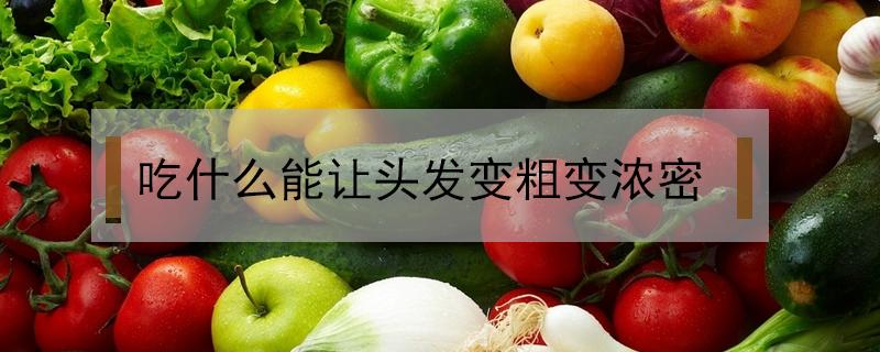 吃什么能让头发变粗变浓密（吃啥能让头发变浓密）