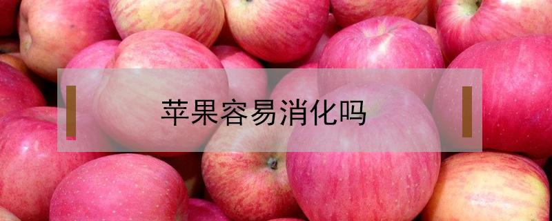 蘋(píng)果容易消化嗎 蘋(píng)果容易消化嗎?