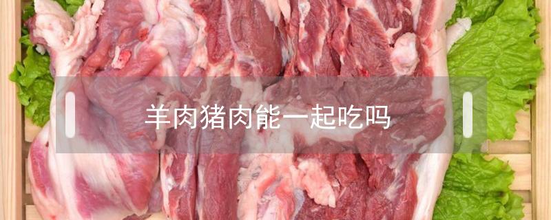 羊肉猪肉能一起吃吗（羊肉和猪肉能一起吃吗）