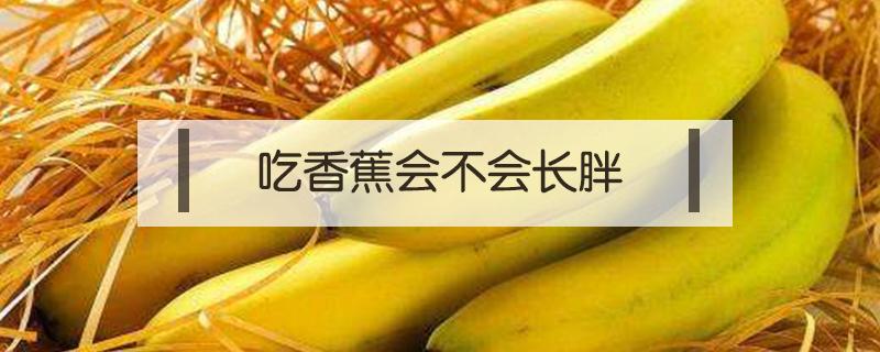 吃香蕉會(huì)不會(huì)長(zhǎng)胖