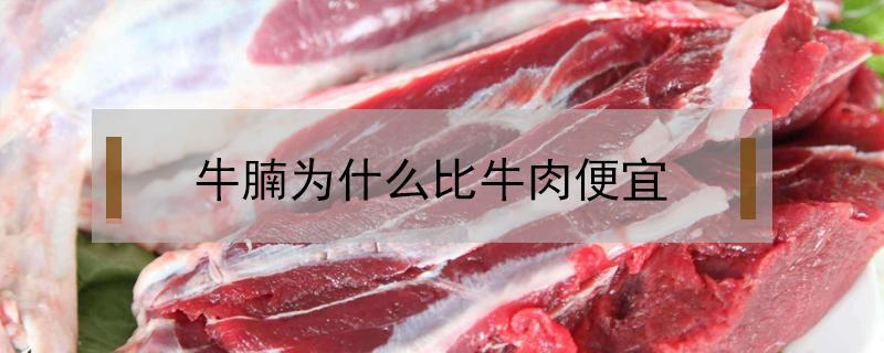 牛腩为什么比牛肉便宜