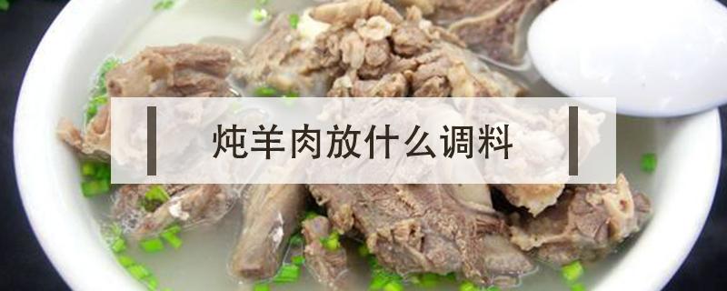 炖羊肉放什么调料（炖羊肉放什么调料最好吃）