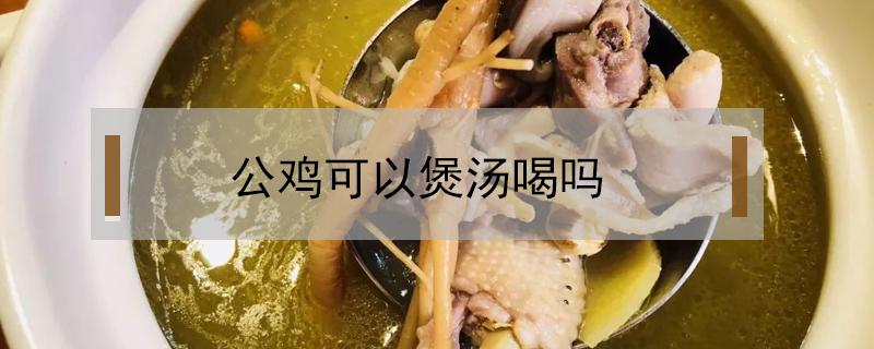 公鸡可以煲汤喝吗 公鸡可以煲汤喝吗?