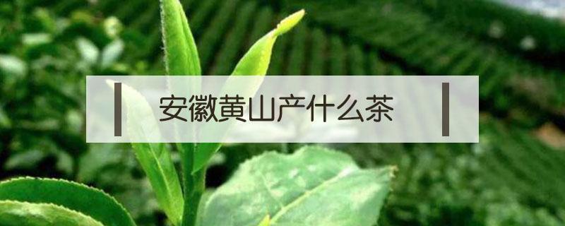 安徽黃山產(chǎn)什么茶