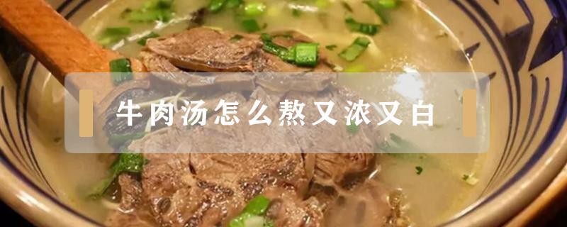 牛肉湯怎么熬又濃又白