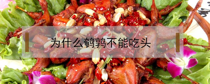 为什么鹌鹑不能吃头（鹌鹑的头能不能吃）