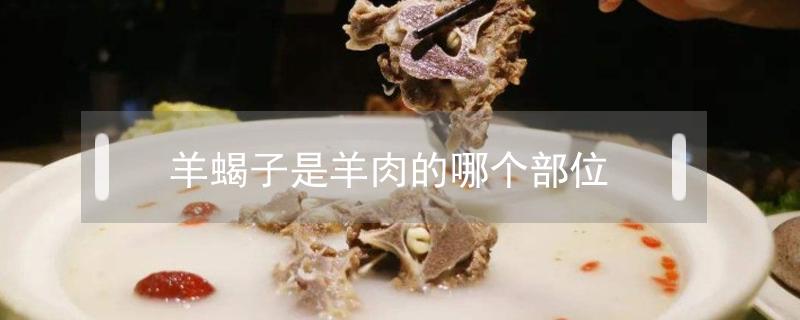 羊蝎子是羊肉的哪個部位 羊蝎子是羊什么部位的肉