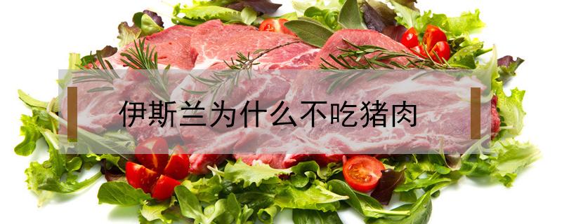 伊斯蘭為什么不吃豬肉（回族為什么不吃豬肉）