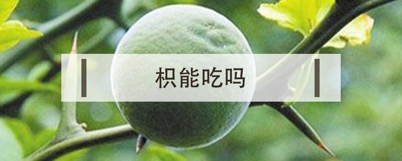 枳能吃嗎