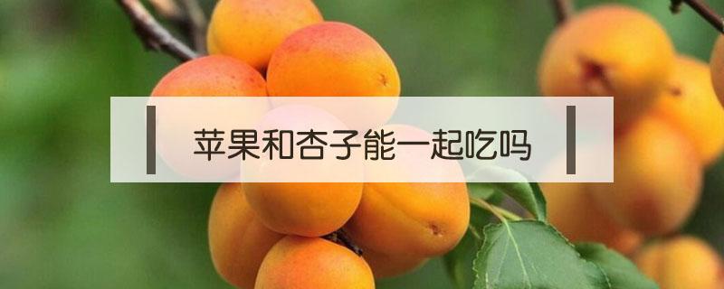 蘋(píng)果和杏子能一起吃嗎