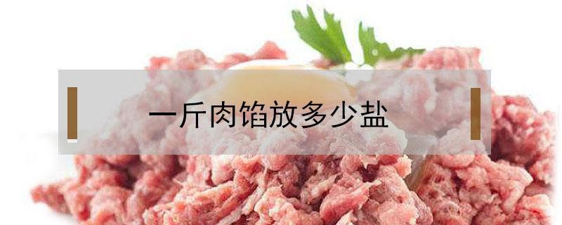 一斤肉馅放多少盐 包饺子一斤肉馅放多少盐