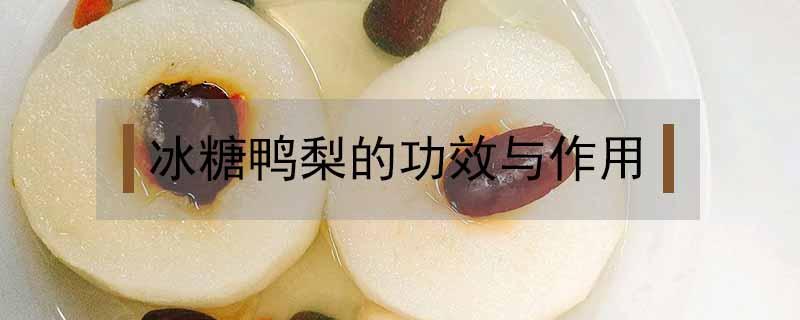 冰糖鸭梨的功效与作用（冰糖煮水的功效）