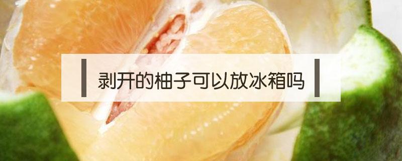 剥开的柚子可以放冰箱吗 剥开了的柚子可以放冰箱吗