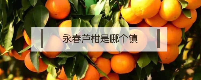 永春芦柑是哪个镇（永春芦柑是什么季节的）