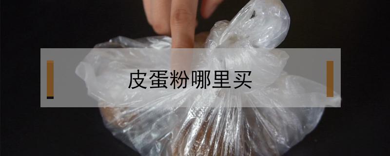 皮蛋粉哪里買