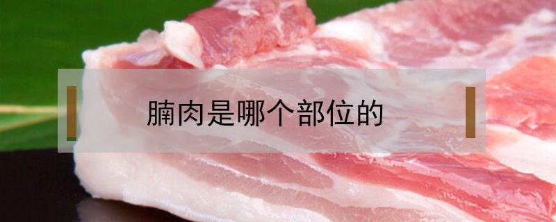 腩肉是哪个部位的（腩肉是哪里的肉）