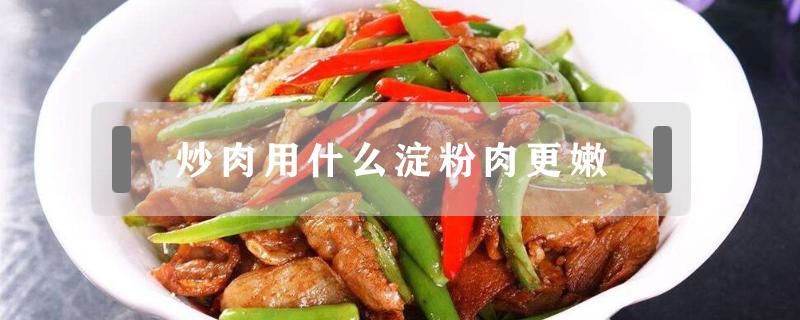 炒肉用什么淀粉肉更嫩（炒肉给什么淀粉更嫩）