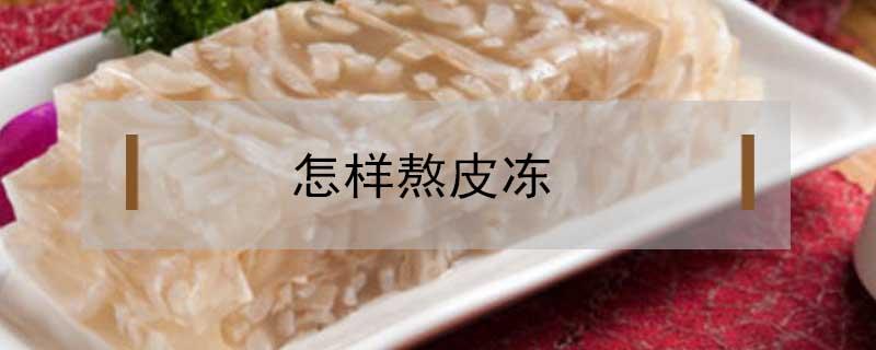 怎样熬皮冻（用肉皮怎样熬皮冻）