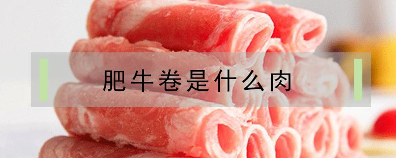 肥牛卷是什么肉