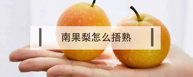 南果梨怎么捂熟 生南果梨用什么来捂熟