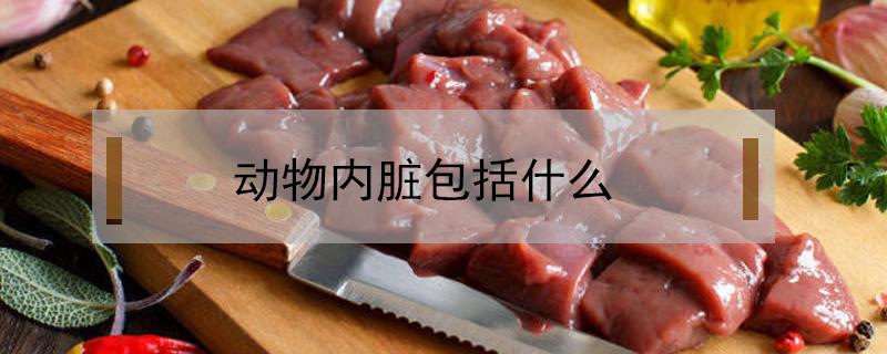 动物内脏包括什么（医生不让吃动物内脏包括什么）