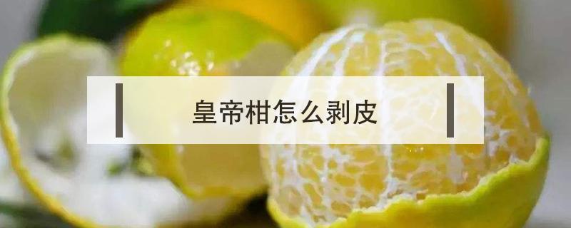 皇帝柑怎么剥皮