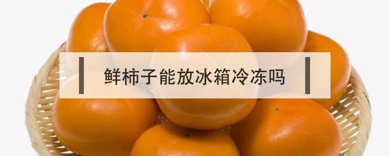 鲜柿子能放冰箱冷冻吗 鲜柿子能放冰箱冷冻吗肾不好吃金水宝时间长了可以吗?