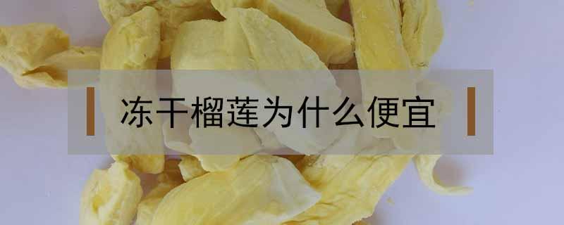 凍干榴蓮為什么便宜（為什么冰凍榴蓮很便宜）