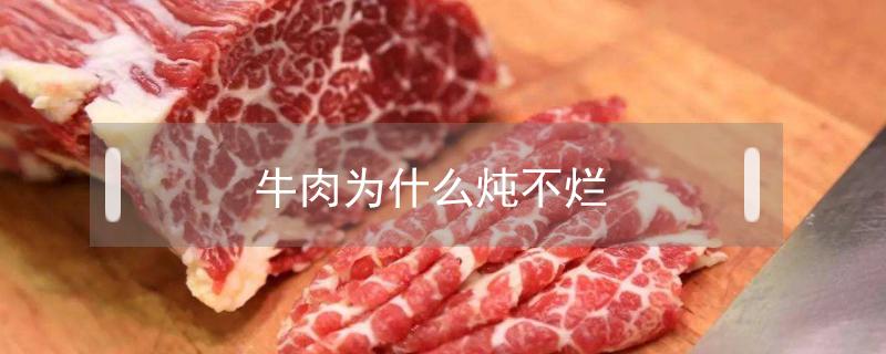 牛肉為什么燉不爛