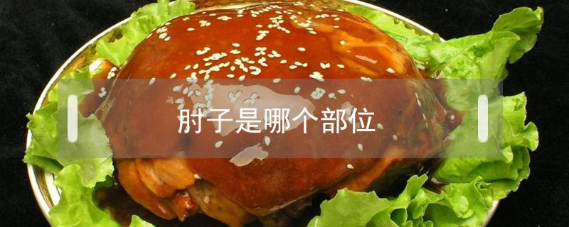 肘子是哪个部位（胯胯肘子是哪个部位）