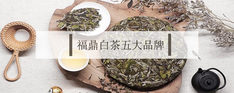 福鼎白茶五大品牌 福鼎白茶第一品牌