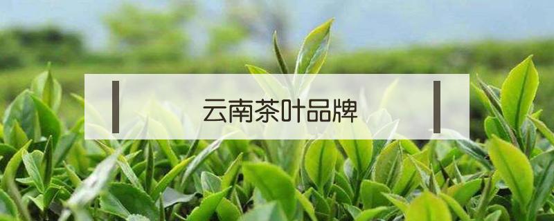 云南茶叶品牌（云南茶叶品牌加盟）