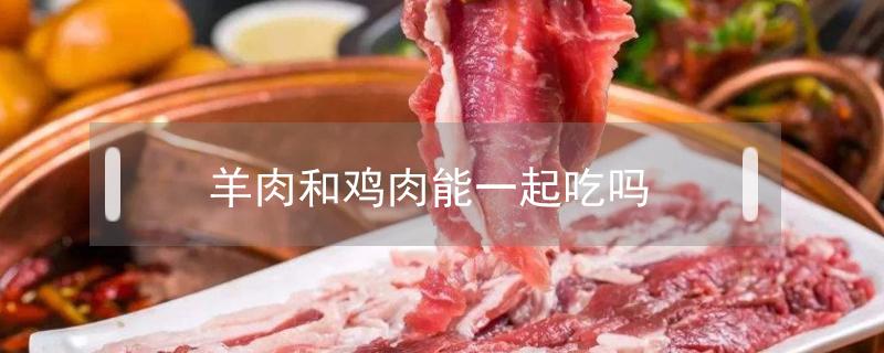 羊肉和鸡肉能一起吃吗（请问羊肉和鸡肉可以一起吃吗）