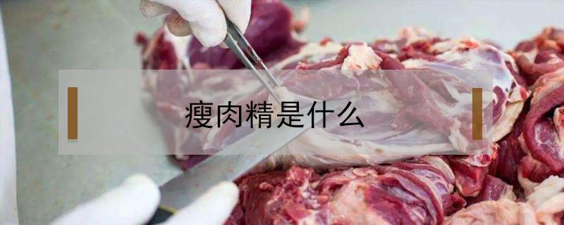 瘦肉精是什么 瘦肉精是什么東西有什么危害