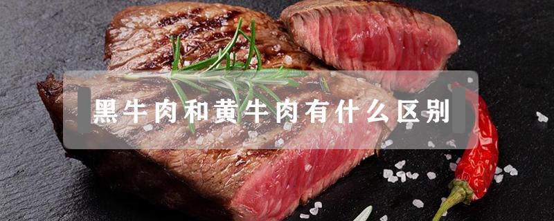 黑牛肉和黃牛肉有什么區(qū)別（黑牛肉和黃牛肉的區(qū)別）