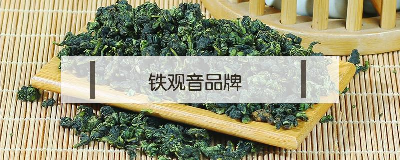 鐵觀音品牌（鐵觀音哪家好）